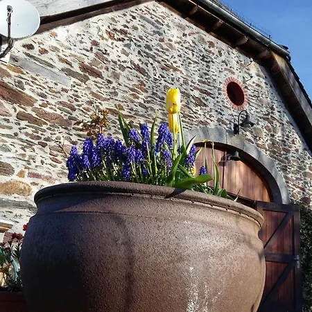 Chez Caro * Mourjou