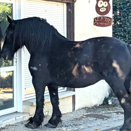 Chez Caro Дом отдыха