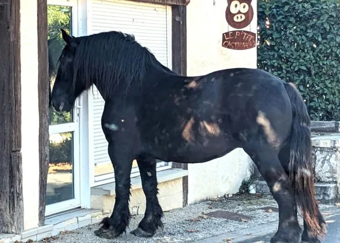 Chez Caro Ferienhaus